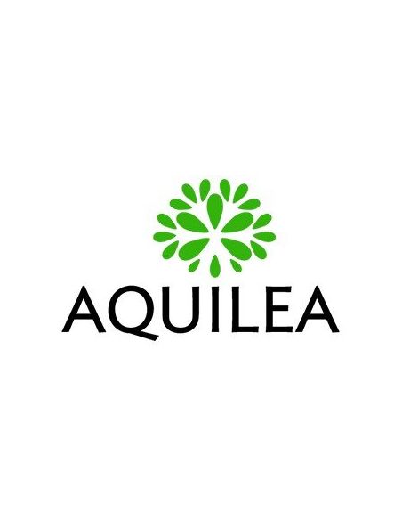 Aquilea